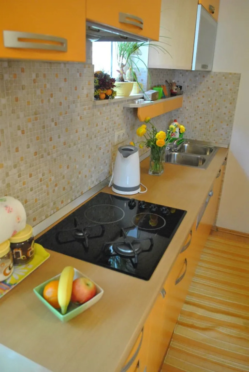 Apartment Vicko