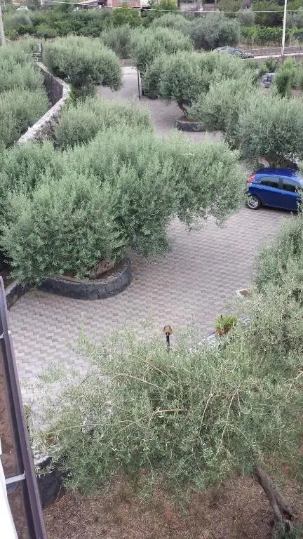 Azienda Agricola Cuntarati