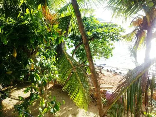 Maya Guest House