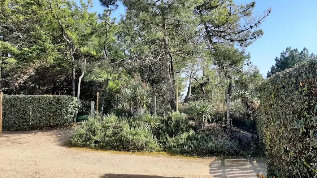 Maison de Vacances 300 M de la Mer Proche Foret
