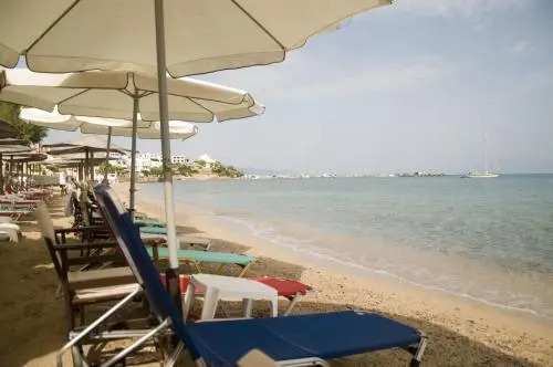 Hotel Beach Amaryllis
