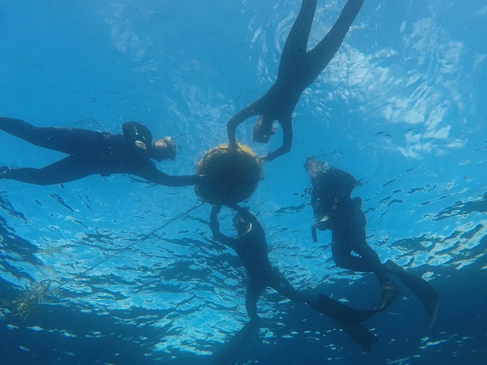 Liquid Dive Adventures