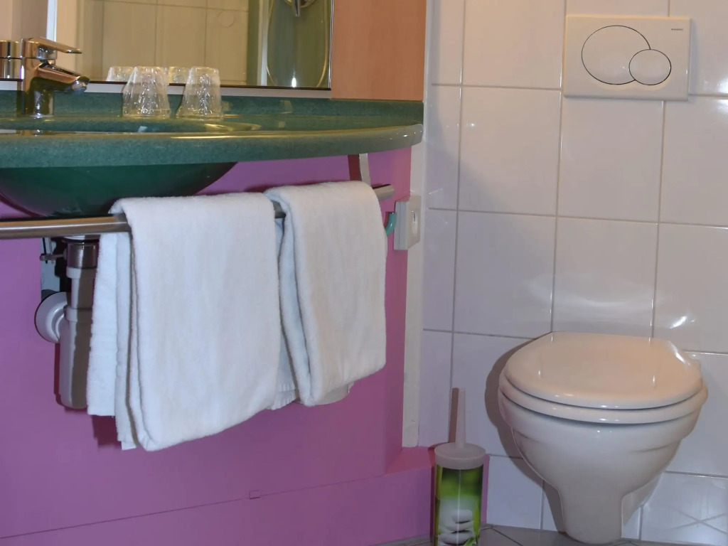 ibis Fribourg