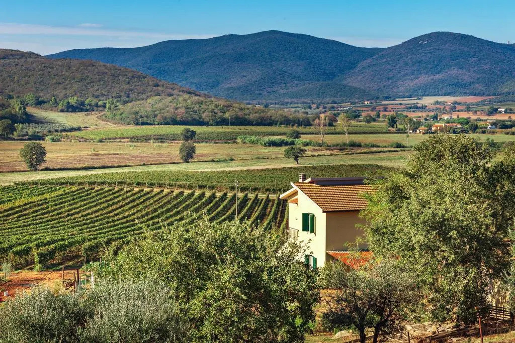 Poggiolivi Country House