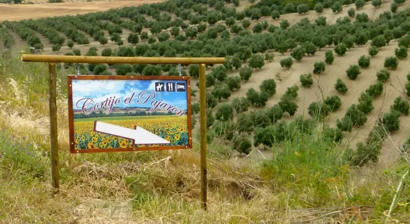 Cortijo el Pajaron