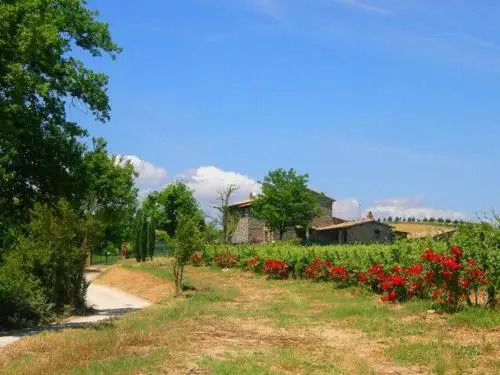 Agriturismo Il Poggio Di Orvieto