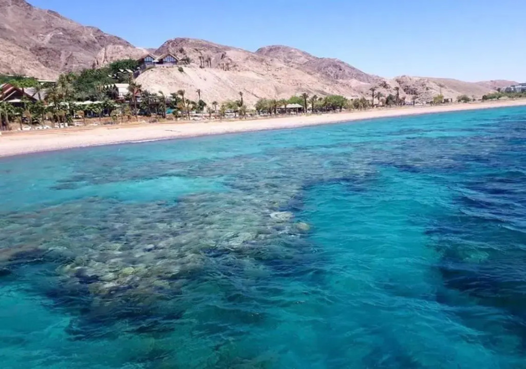 Eilat suite Boutique