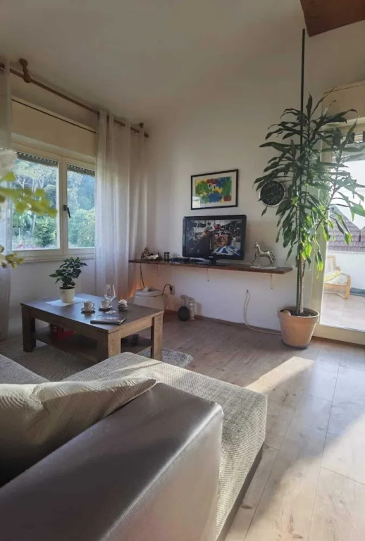 Charming Apartment Center Split Terrace & Parking