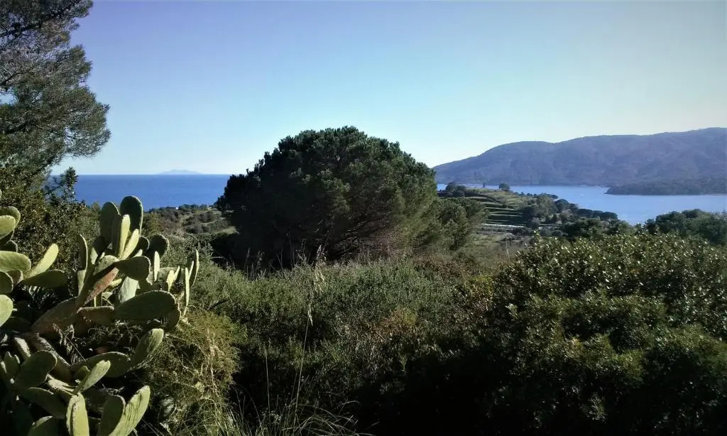 Gavilas Residenza Turistico Alberghiera