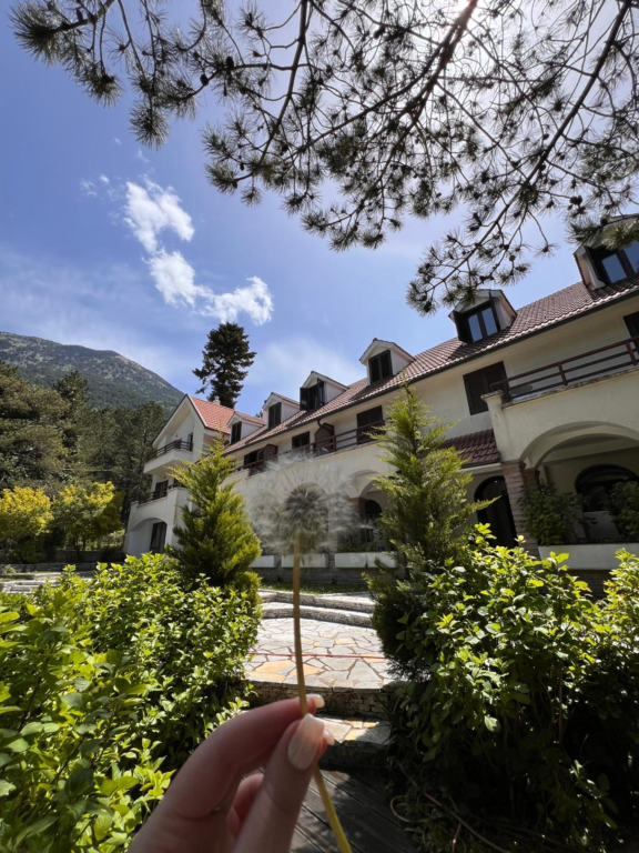 Hotel Alpin Llogara