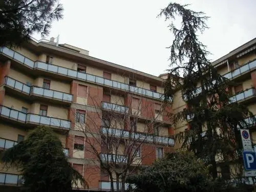 Sansovino Bed and Car