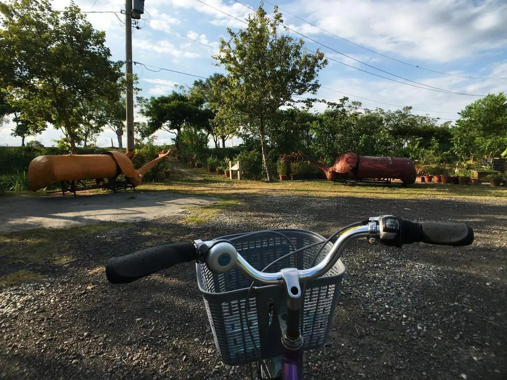 Kite Farm