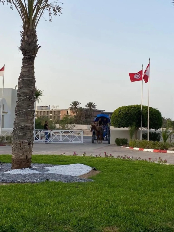 Le Petit Palais Djerba & Spa