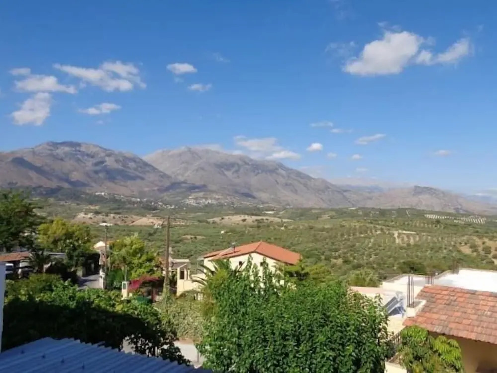 Olive Tree Farm