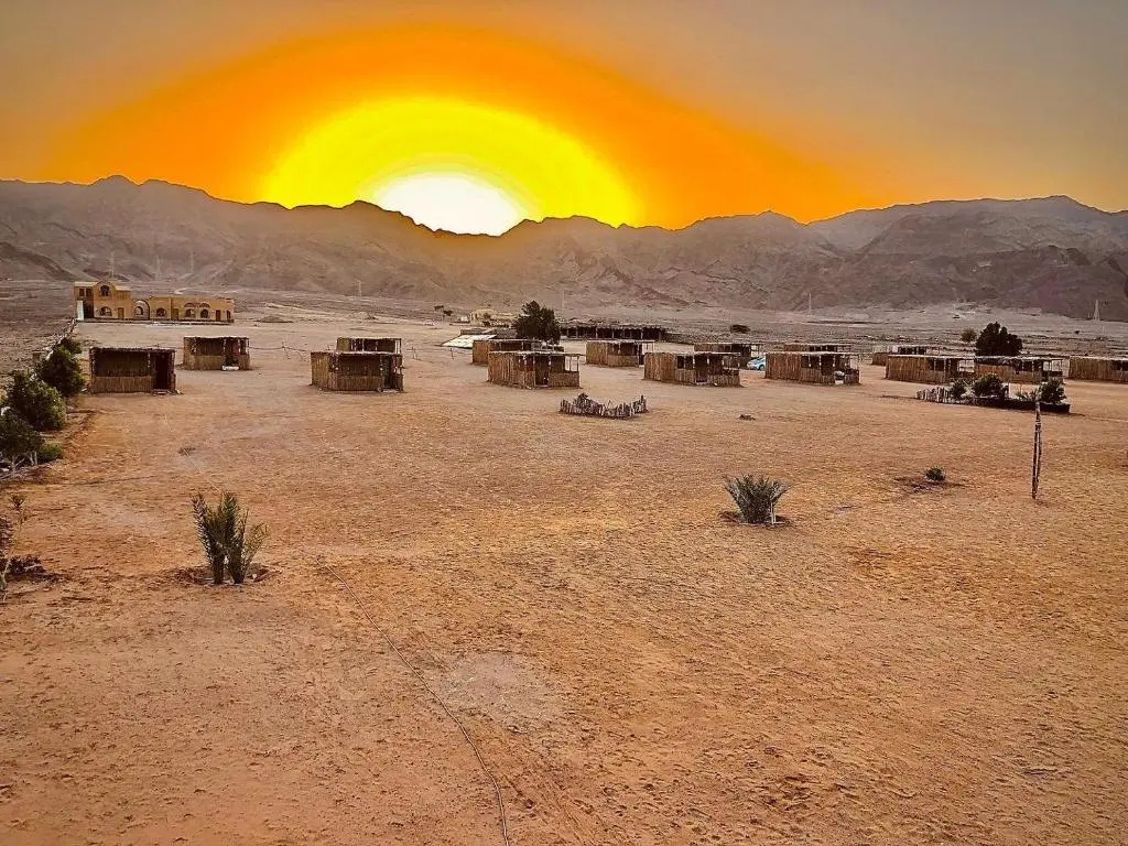 Lala Land Camp
