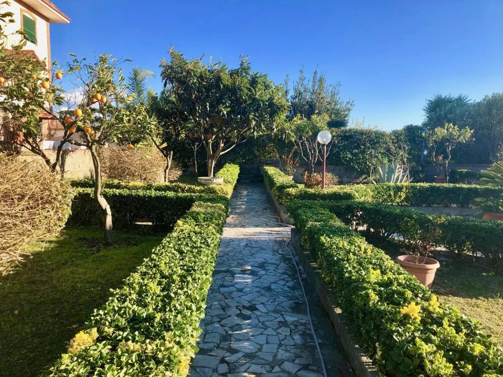 B&B Annetta