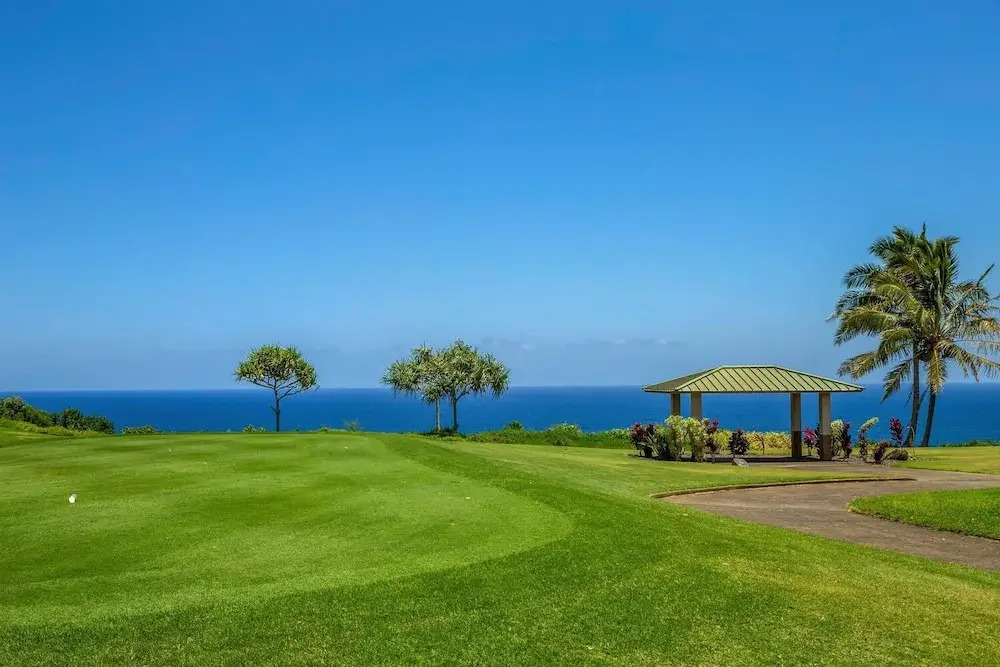 Kamahana 16