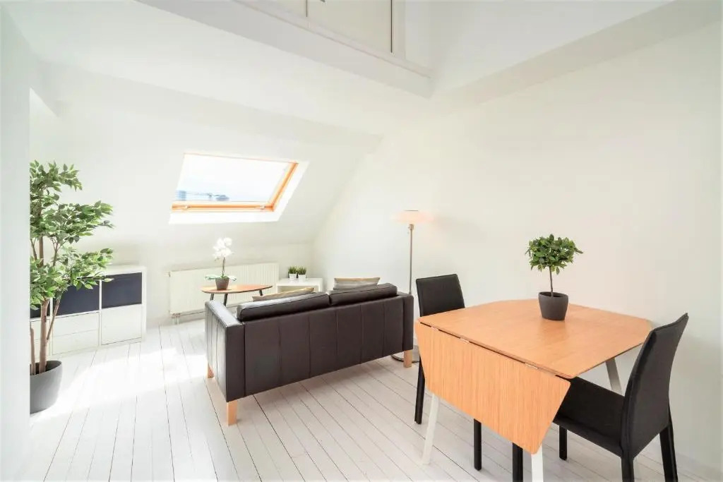 Beautiful Cozy Apartments in the Heart of Antwerp