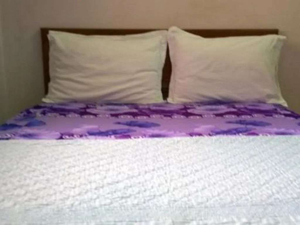 Thanh Hang Guesthouse