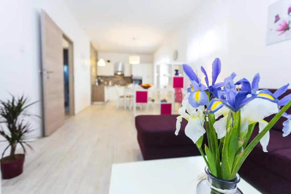 Apartment Perunika