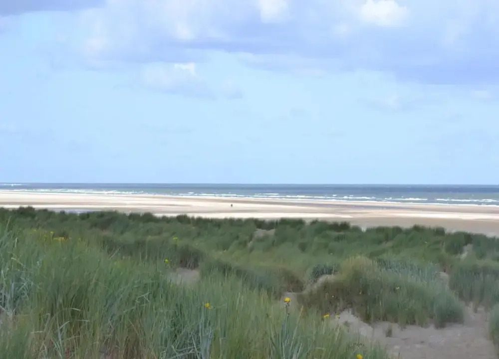Comfort Holiday Home Near Beach