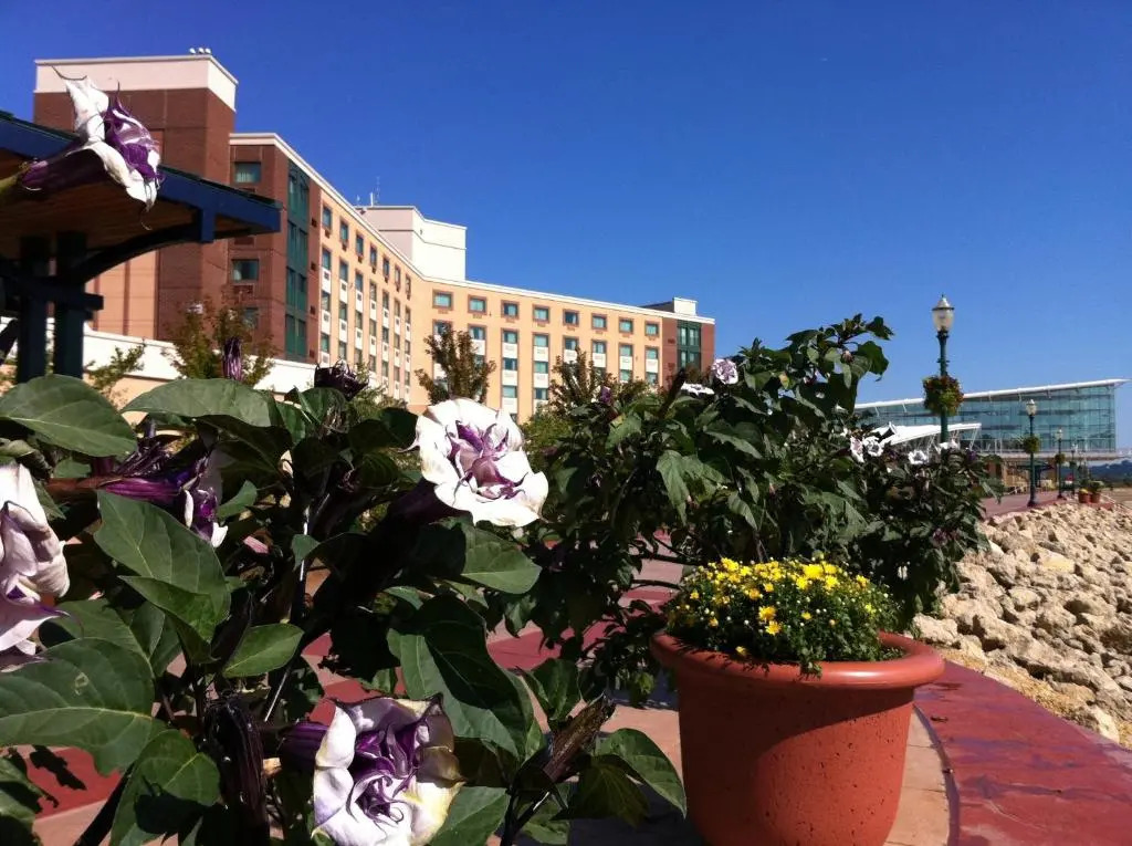 Grand Harbor Resort