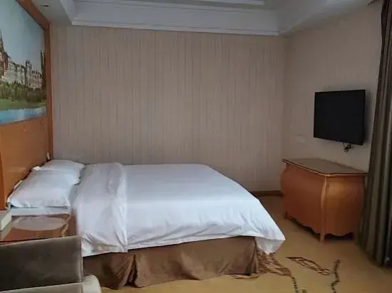 Vienna Hotel (Hong'an)
