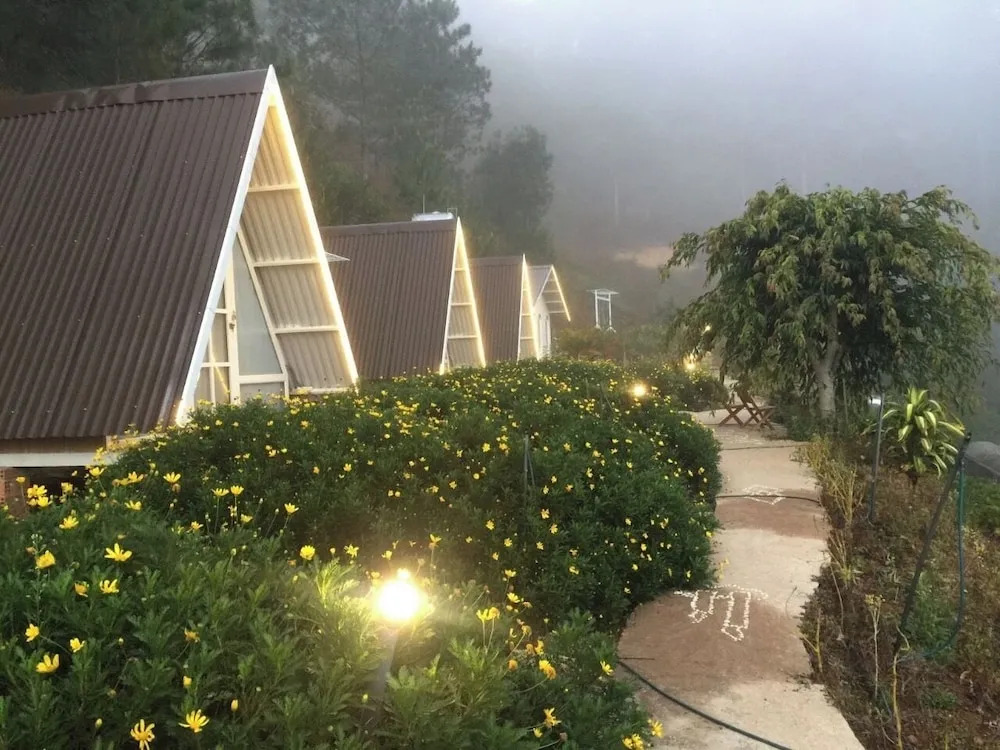 Tuyết Hoa Hòn Bồ Homestay