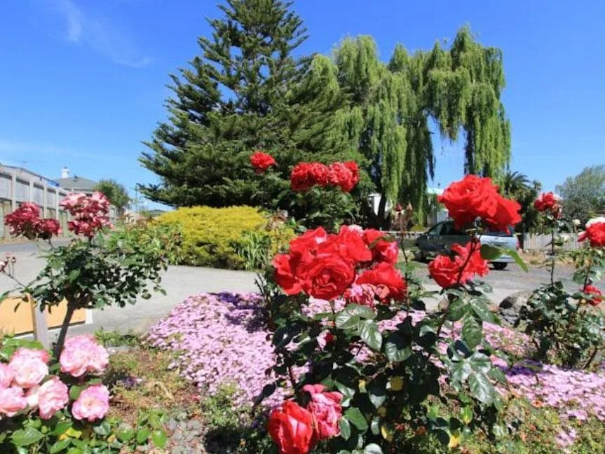 Waiuku Motel