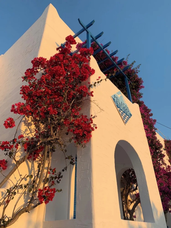 Pelagos Studios