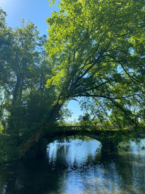 Domaine de Vadancourt