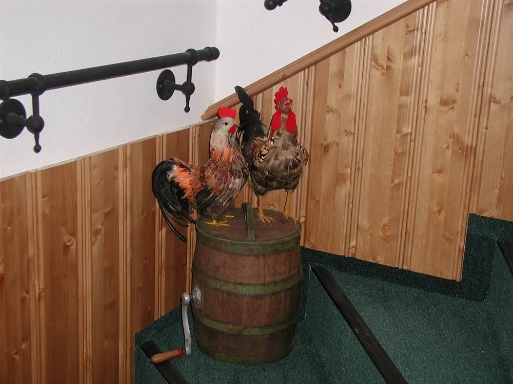 Pension Pohoda