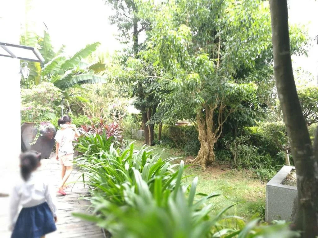 Distree Youth Hostel Jie Long