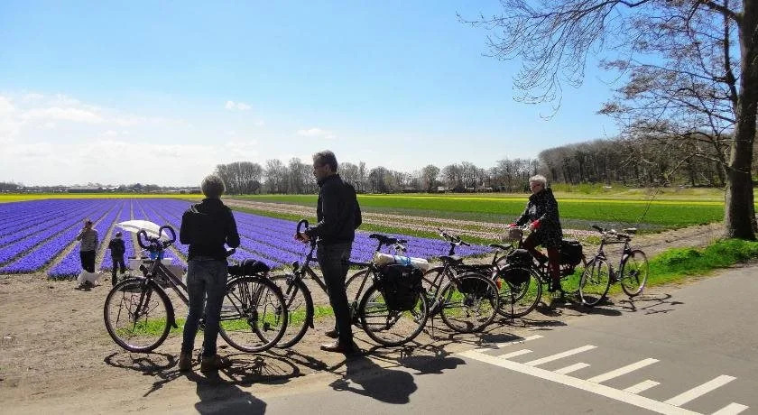 Bed&Breakfast Alkmaar onder de watertoren