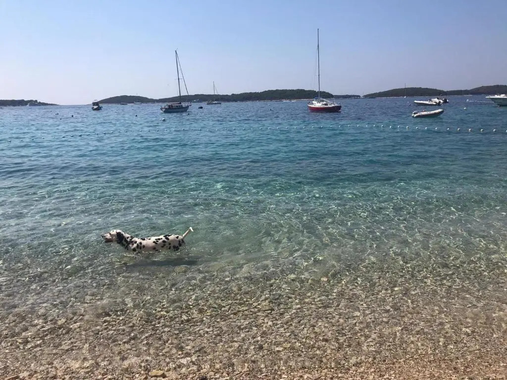 Apartmani Marinka Viskovic