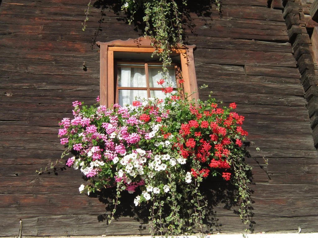 Hansenhof