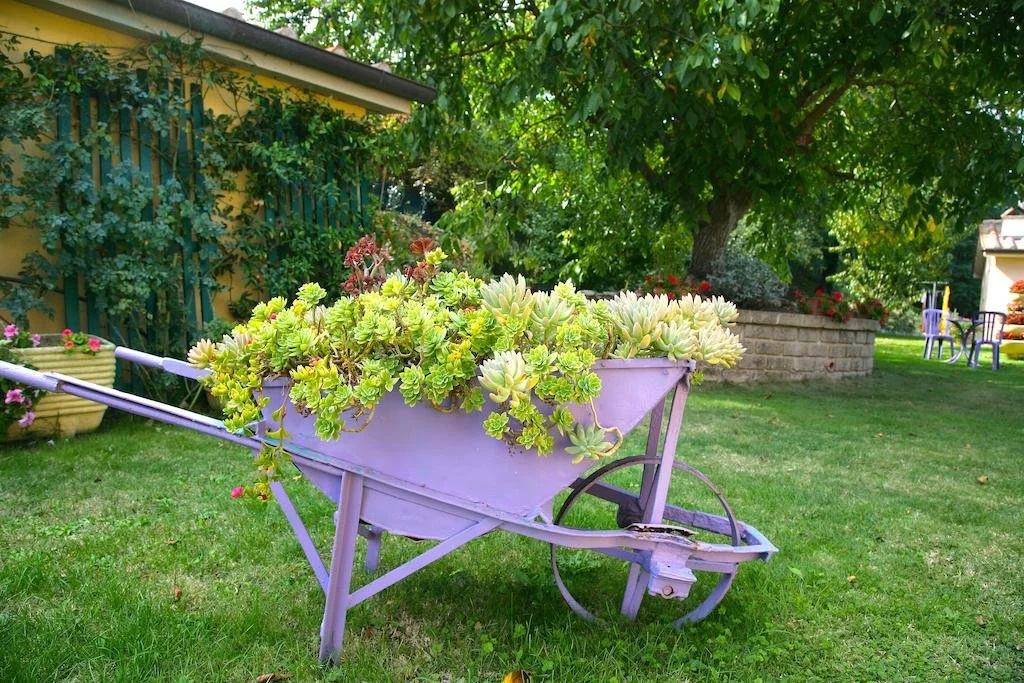 Rosemarie B&B
