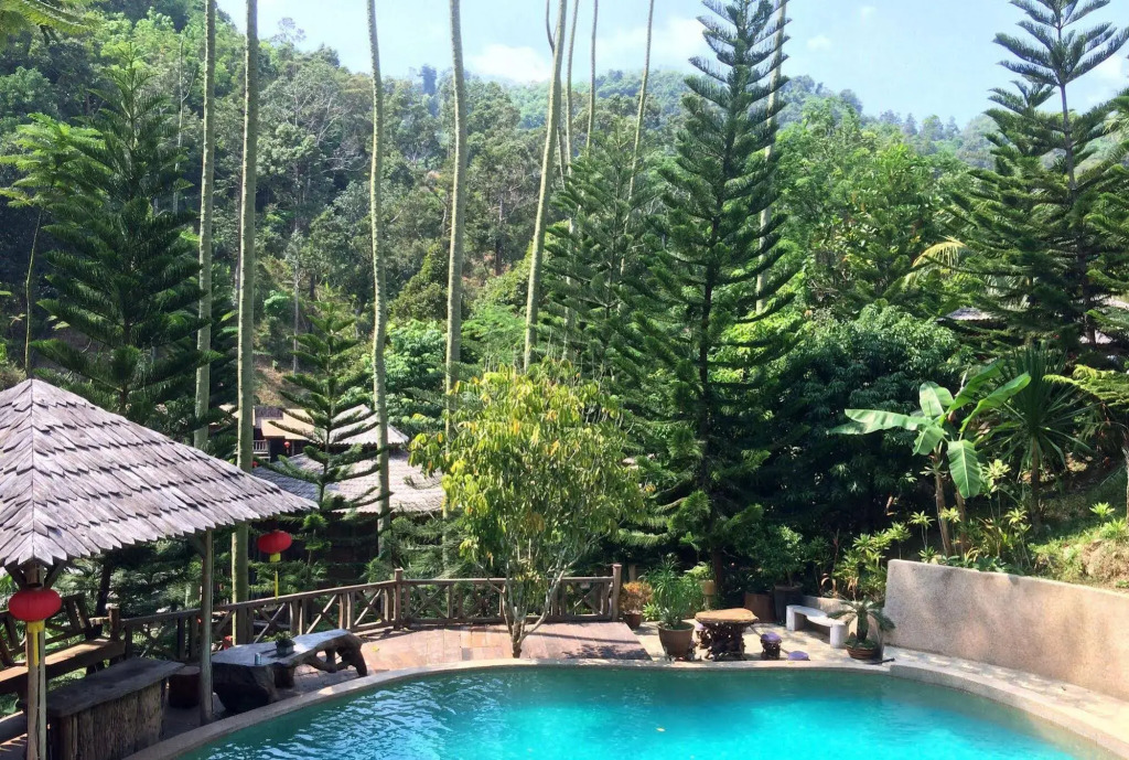 Fig Tree Hills Resort