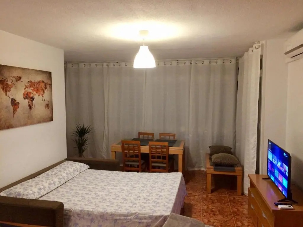 Apartment La Malagueña