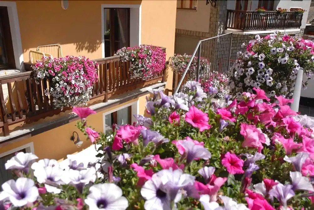 Residence Au Vieux Grenier