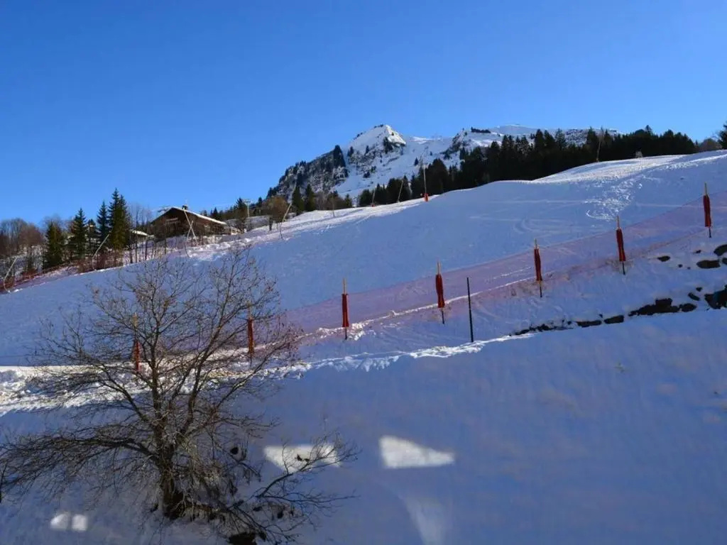 Appartement Le Grand-Bornand, 1 pièce, 4 personnes - FR-1-241-6