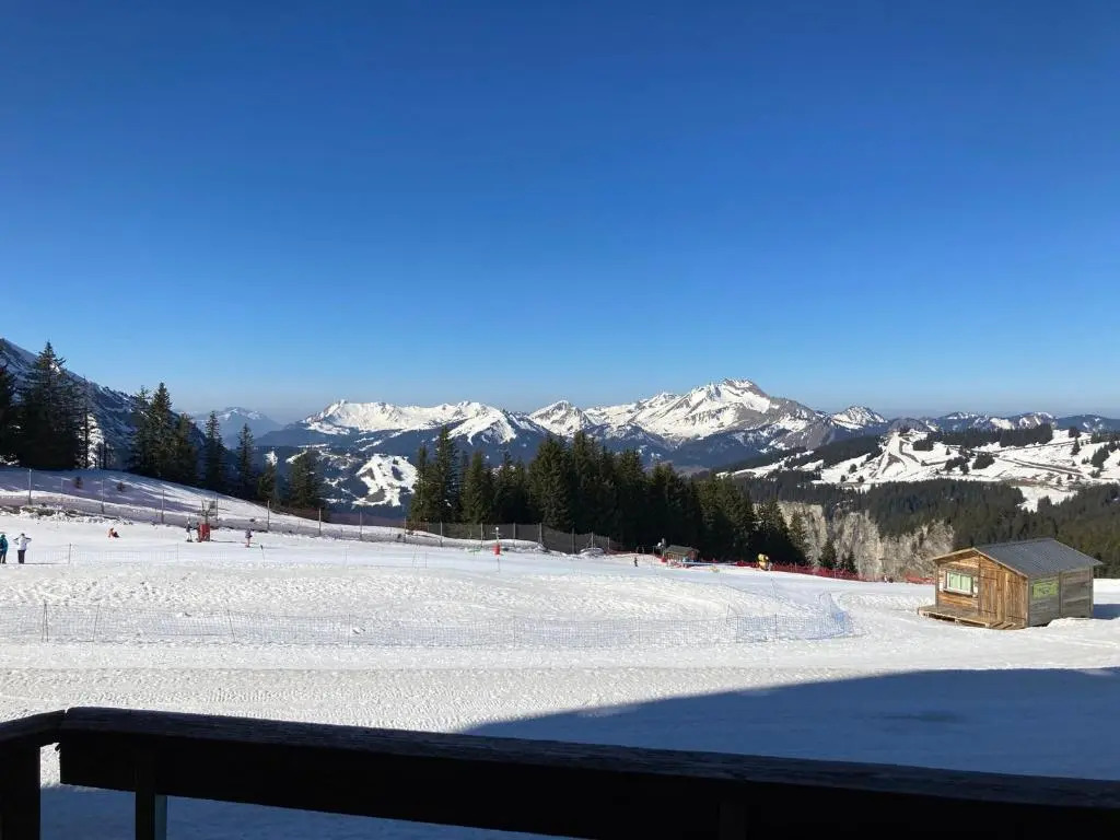 Appartement Avoriaz, 2 pièces, 4 personnes - FR-1-634-76