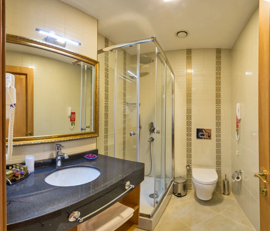 Aprilis Gold Hotel - Special Category