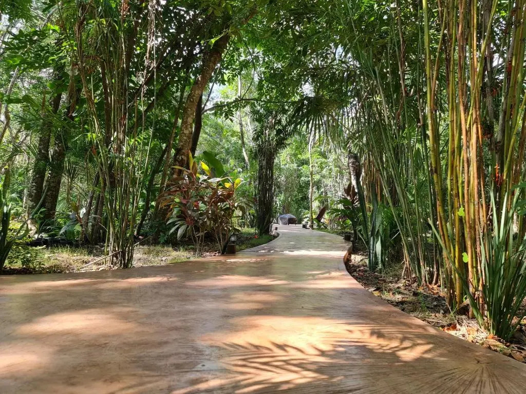 Secret Gardens Bacalar Suite 01 con alberca y bicicletas