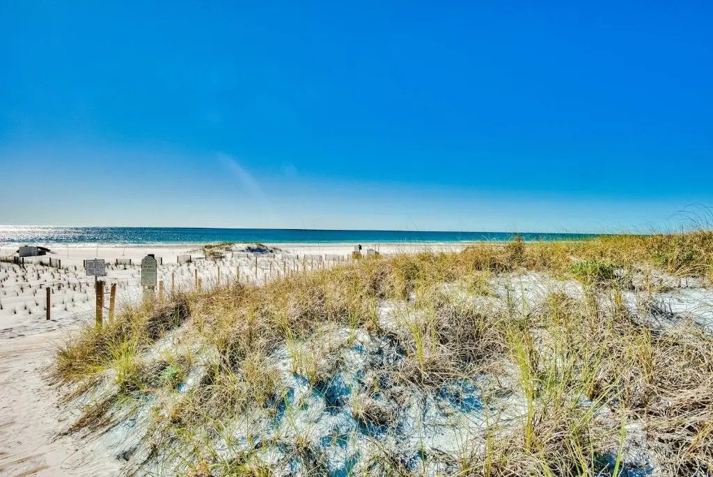Grayton Beach, Brand New House! Walk to beach! Two Pools