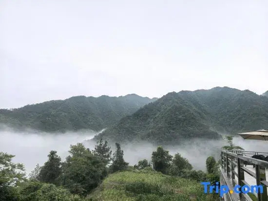 Tonglu Yunjing Homestay