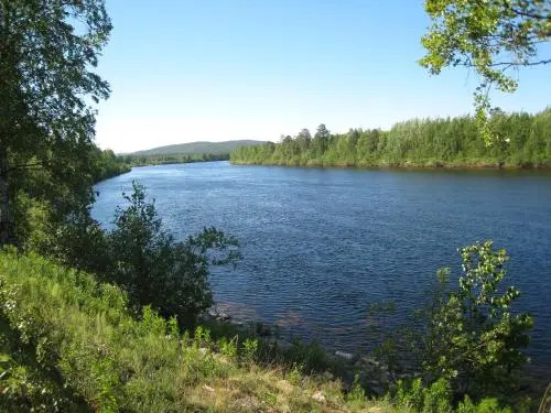 Saariselän Marjamajat