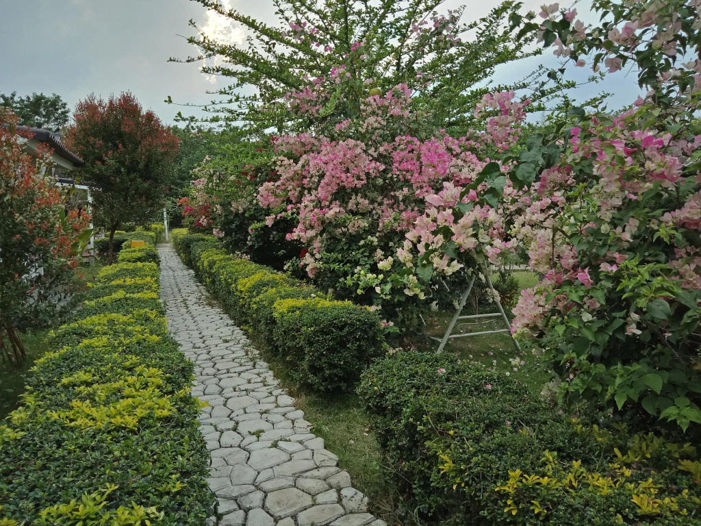 Les Collines Resort