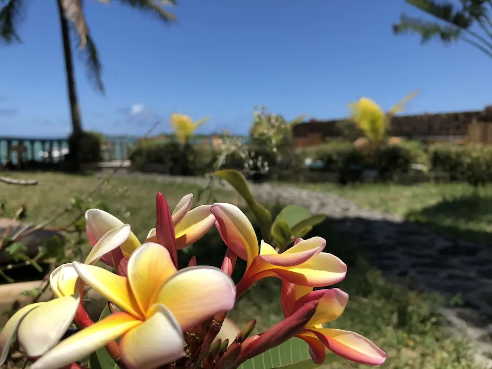 Coco Villa