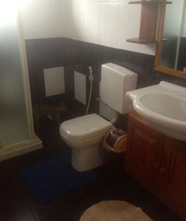 Fire Dragon Guest House